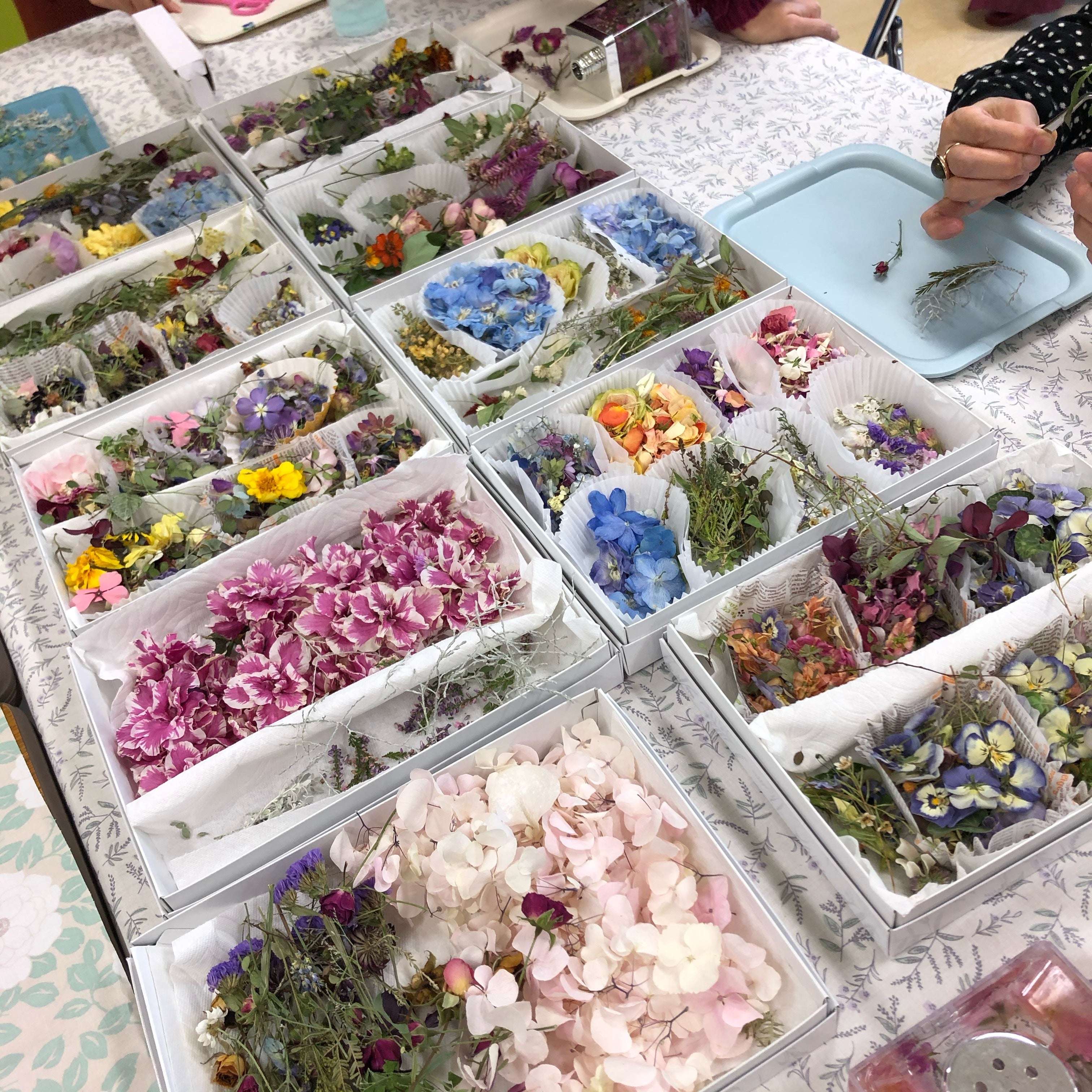 マイクリエイションフラワーのSTORY – mycreationflower